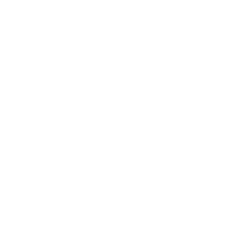 A1 The Label
